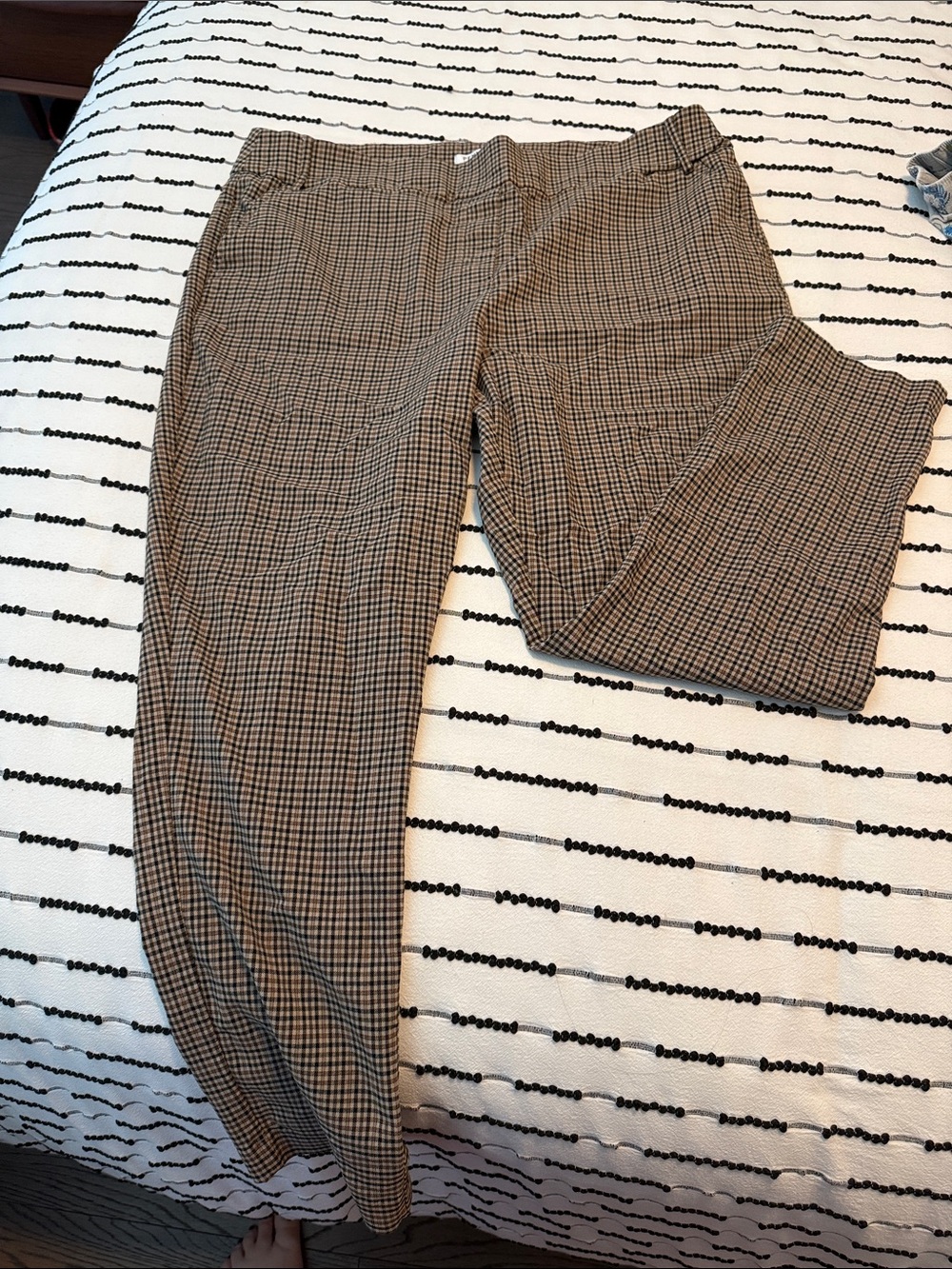 Dress pants